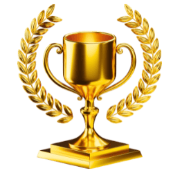 About 4 Web Design Consultant in Nigeria-Trophy